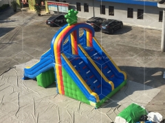 Mini Size Frog Inflatable Pool Slide for Inground Swimming Pools